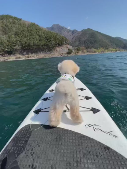 Boost Fin for SUP
